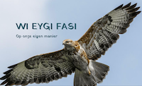 Website Wi Eygi Fasi opgeleverd
